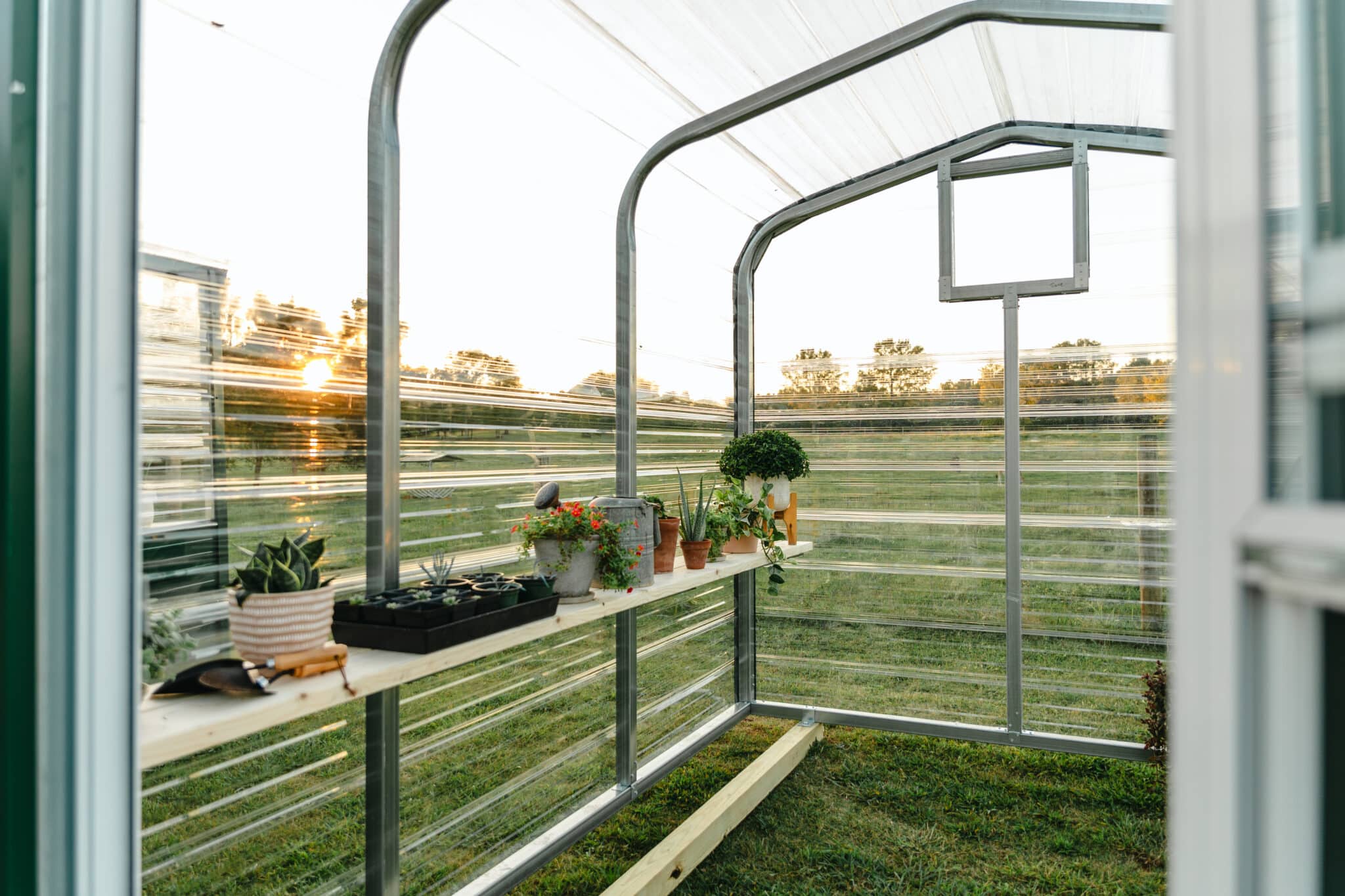 Metal economy greenhouse for sale